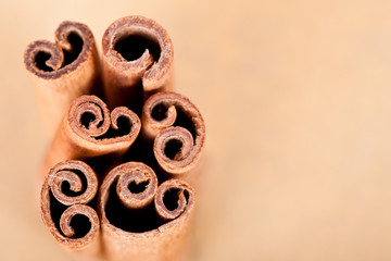 Cinnamon sticks in a warm background with copy-space