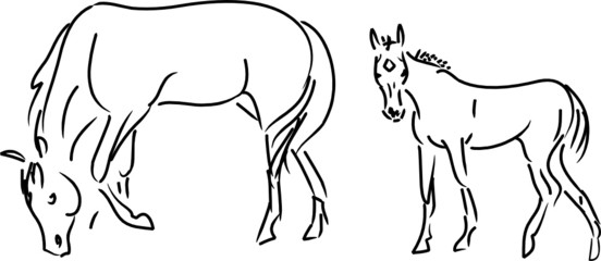 mare and foal vector