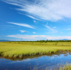 Fototapeta premium River