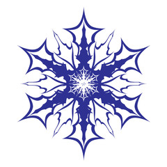 Decorative snowflake. Vector.