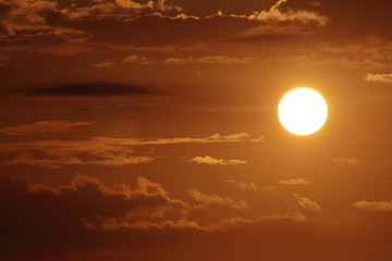 Fototapeta na wymiar w stronę słońca