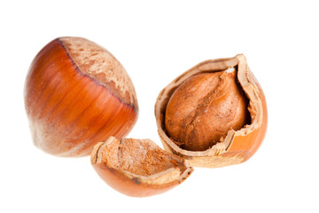 Hazelnuts