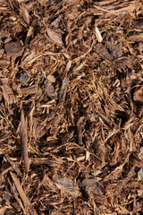 paillage naturel de mulch