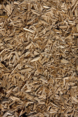 paillage naturel de mulch