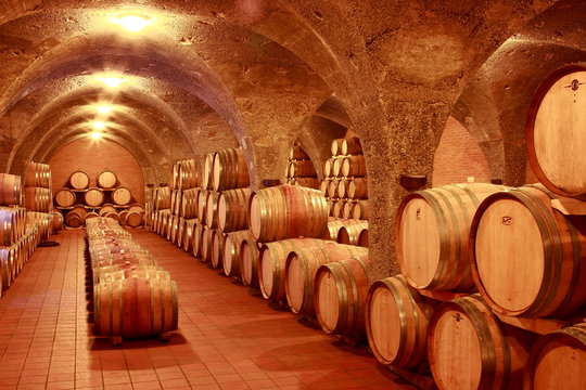 Weinkeller, Eichenf&auml;sser, Montalcino Toskana, Italien
