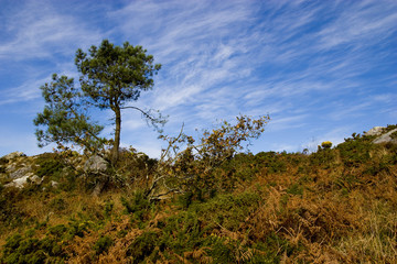 view of a small mountain in brittany