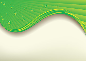 Vector illustration a green background with drops