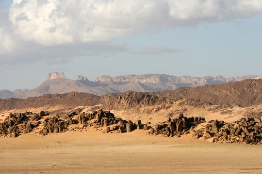 Desert scenes6