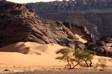 Desert scenes13