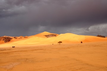 Fototapeta na wymiar Desert scenes19