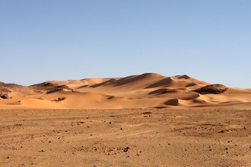Fototapeta na wymiar Desert scenes20