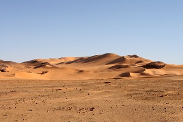 Desert scenes20