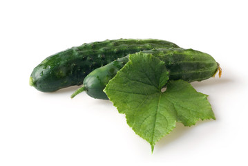 fresh cucumbers on white background