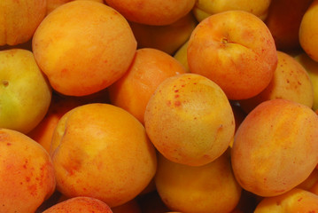 apricot