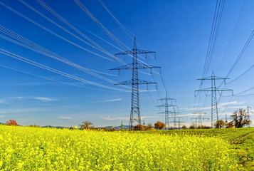 Technology and Nature-2