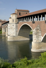Fototapeta na wymiar zobacz of Pavia