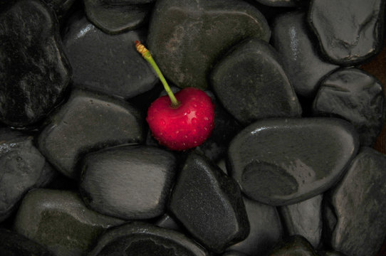 cerise zen 5