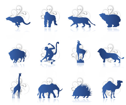 Icon set 31