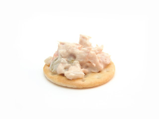 tuna fish on cracker