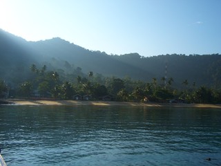 Through the morning mist