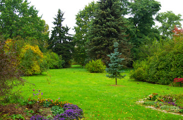 In the Botanical Garden