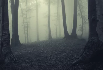 Wandcirkels aluminium Fog in dark forest © andreiuc88