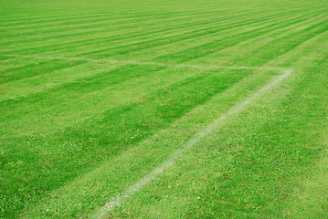 Fototapeta na wymiar green football pitch with white lines and a parallel pattern