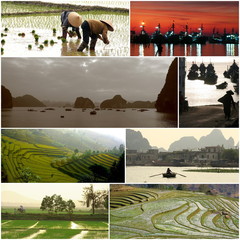 Le vietnam en images