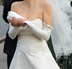 Wedding - Bride with pigeon