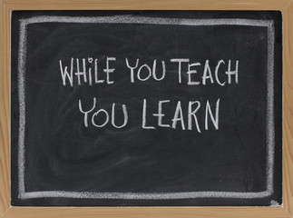 while you teach, you learn