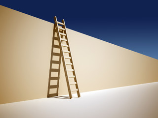Ladder on wall © Orlando Florin Rosu