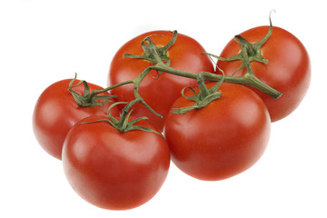 Tomatoes