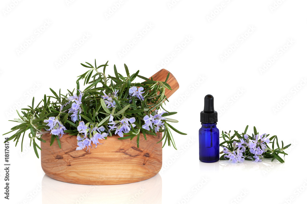 Poster Rosemary Herb Flowers and Essence