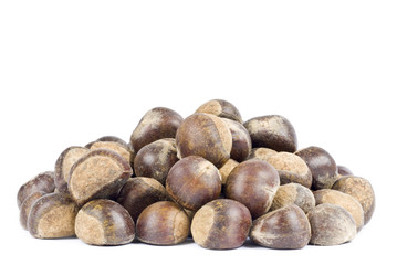 Chestnuts Isolated on White