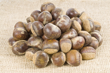 Chestnuts on Burlap