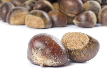 Chestnuts Isolated on White