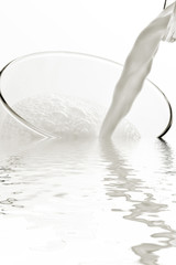 Milch