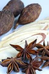 Various kinds of herbal spices such as anise stars