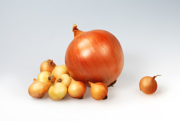 Large and small onion