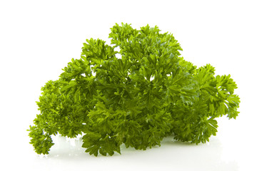 Green parsley
