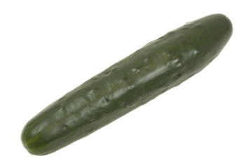 Cucumber