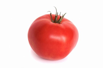 Red tomato on white background