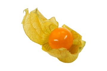 Physalis Frucht