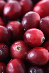 cranberries moosbeeren