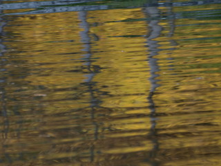 Reflejos de otoño en los jardines del Palacio de la Granja