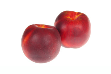 pair of ripe nectarines