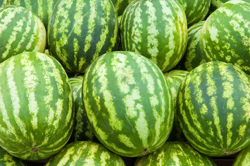 water-melon