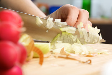 Zwiebelschnitt