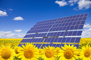 Solar panels on sunflowers field against ble sky © Jose Ignacio Soto