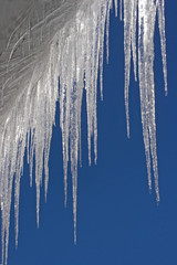 Eiszapfenparade